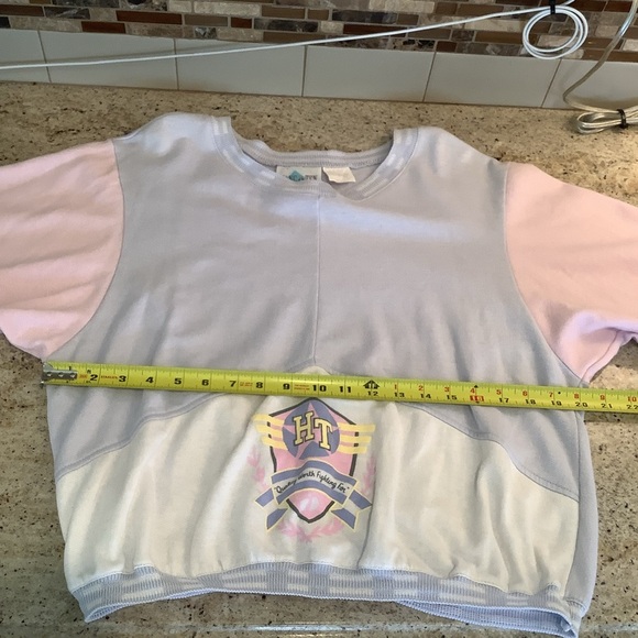 Vintage Hang Ten Pastel Shirt Lightweight Sweatshirt Size Large Short Sleeve - Picture 6 of 7
